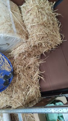 HENS_straw (Small)
