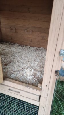 R_Hutch_sawdust (Small)