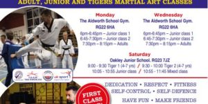 Taekwondo
