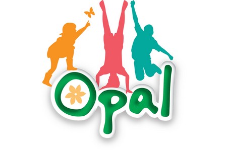 OPAL 450 x 300