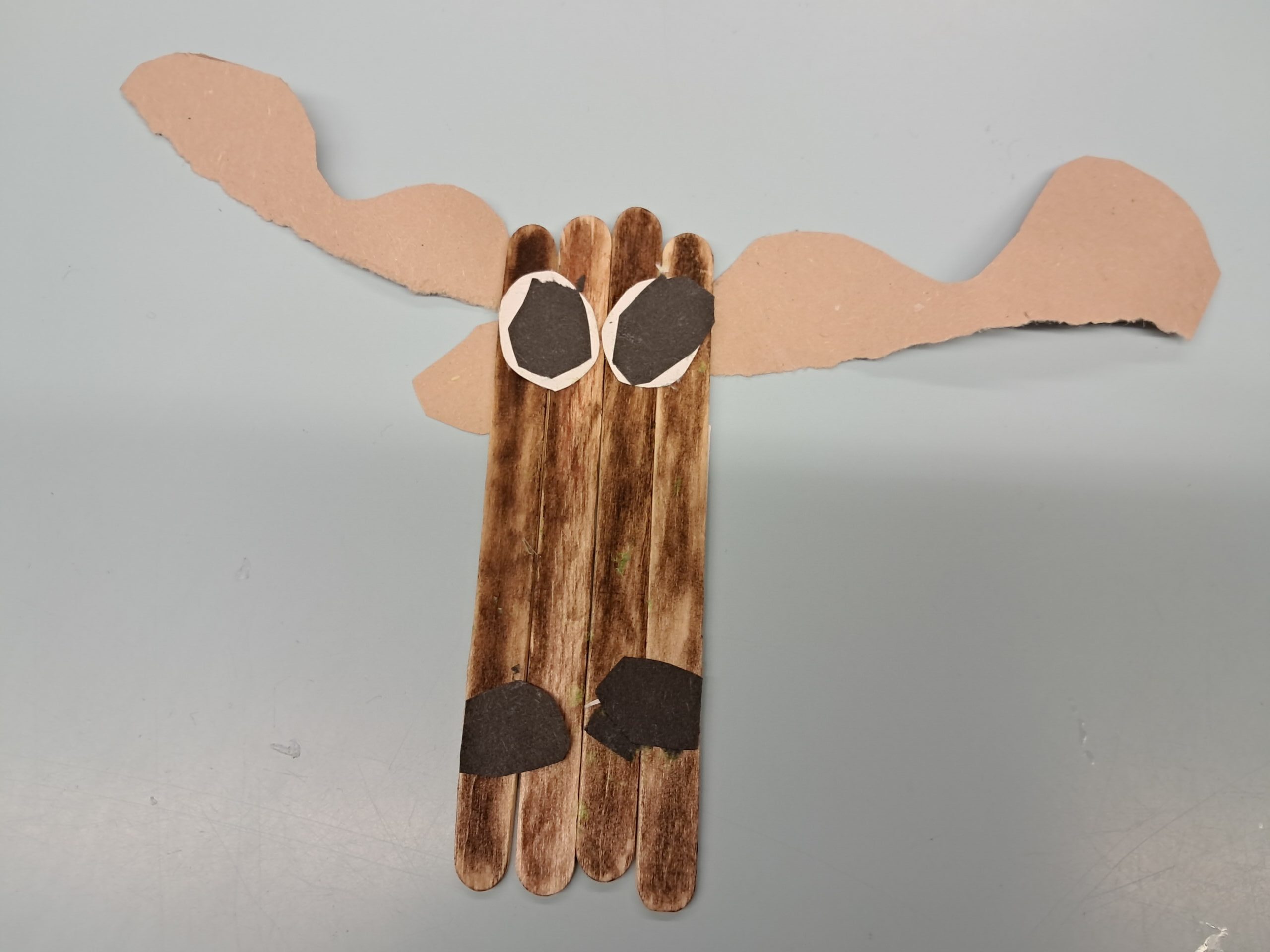 1000015776 1000015776