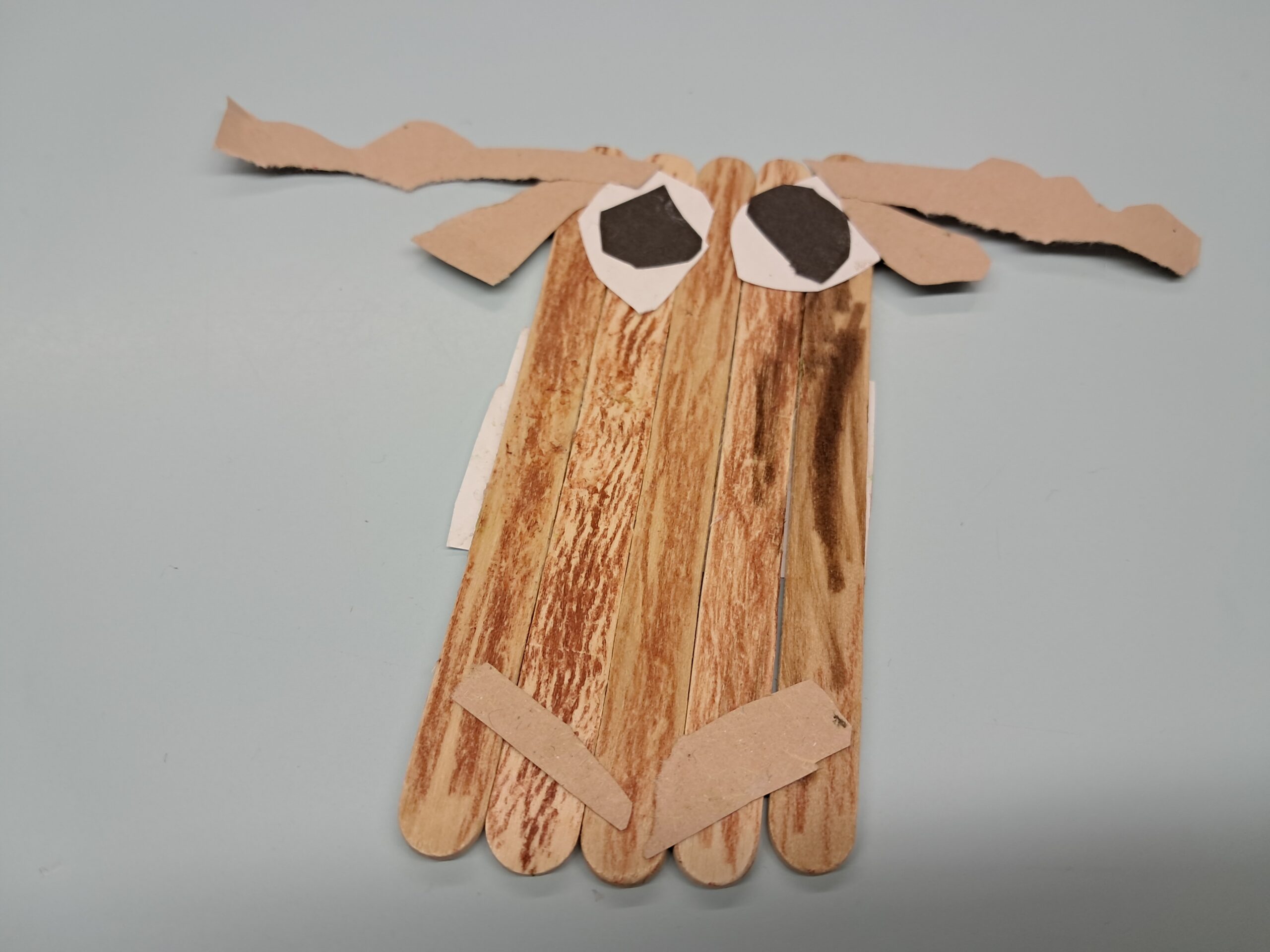 1000015779 1000015779