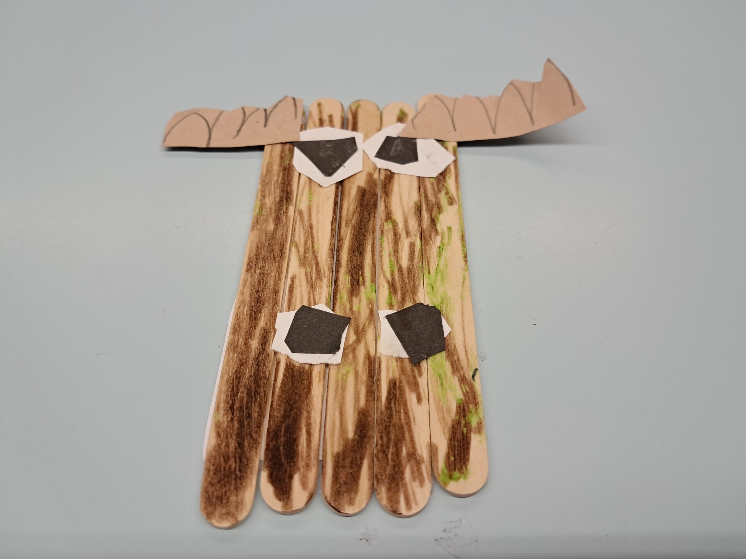 1000015781 1000015781