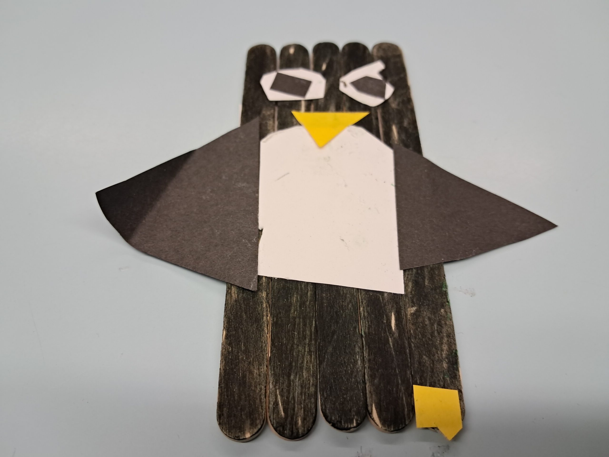 1000015782 1000015782