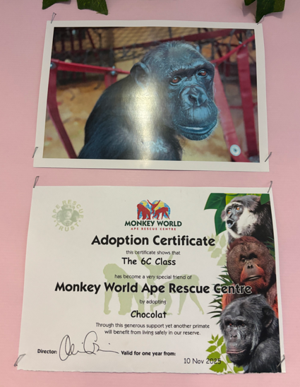 Screenshot 2026-04-12 190437