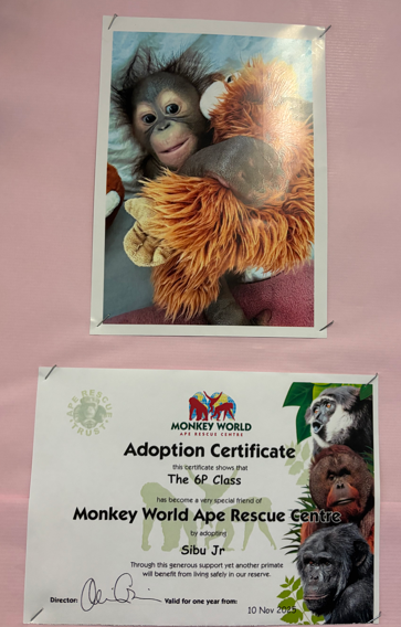 Screenshot 2026-04-12 190607