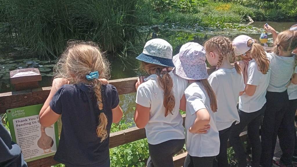 19th June 2026 Newsletter – Non School Uniform Day Friday, FOSM Summer ...