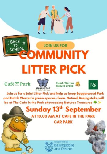 Community Litter Pick Community Litter Pick